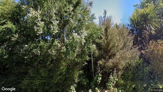 20A Renall Street