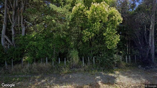 167 Richardsons Line