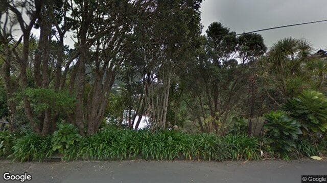 Street view of 64 Ranui Crescent
