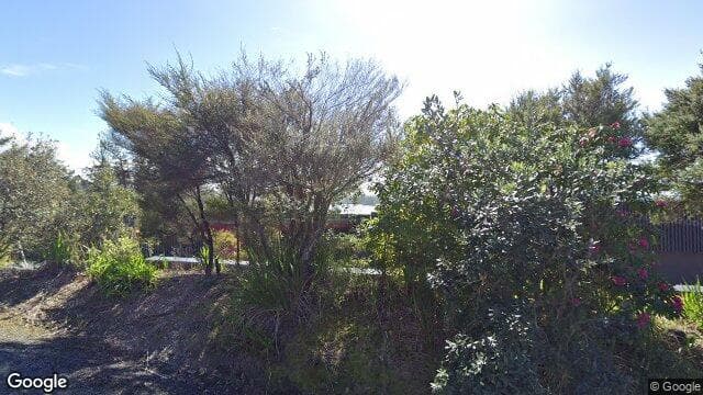 Street view of 45A Jamieson Road