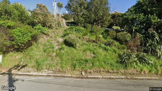 Street view of 24 Waikato Street