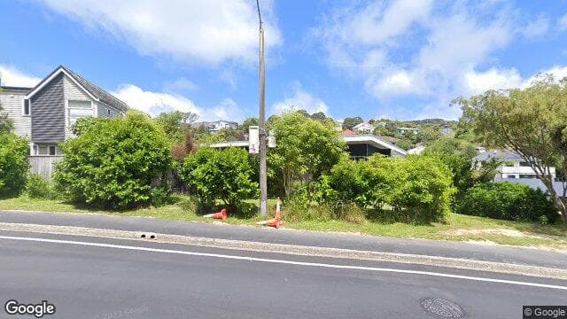 Street view of 95 Waikowhai Street