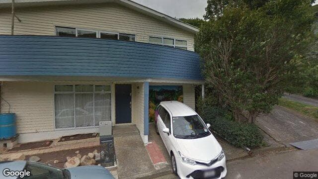 Street view of 117 Awarua Street