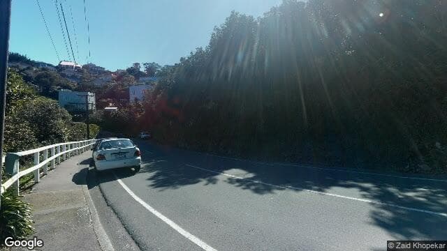 Street view of 70 Homebush Rd