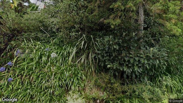 Street view of 639 Huia Road