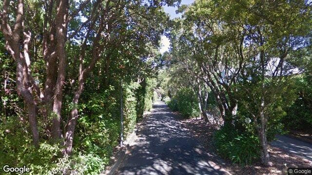 WHIORAU Grove