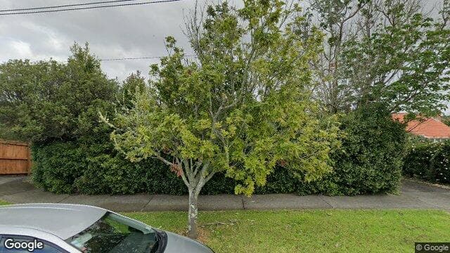 19 Sayegh Street