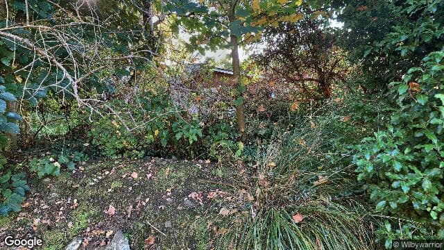 19B Woodhaugh Street